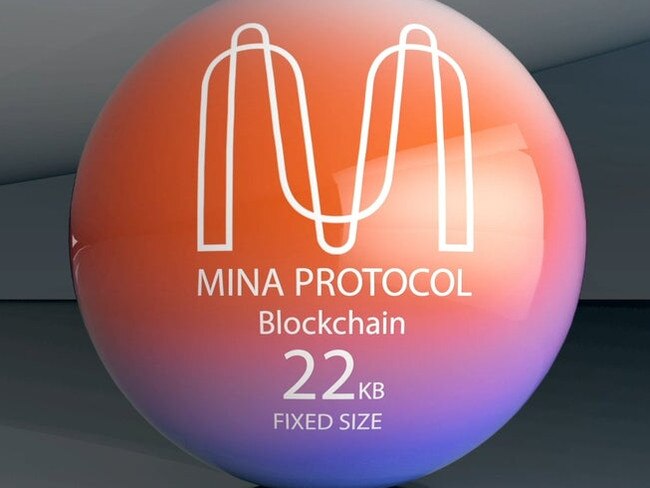 Mina is a new cryptocurrency on the market - but investors are being warned of price swings.