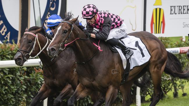 Rothfire will be saved for this Saturday’s Bribie Handicap at Eagle Farm. Picture: Kevin Farmer.