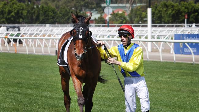 Jockey John Allen returns Right You Are after it broke down on the straight. Picture: David Caird