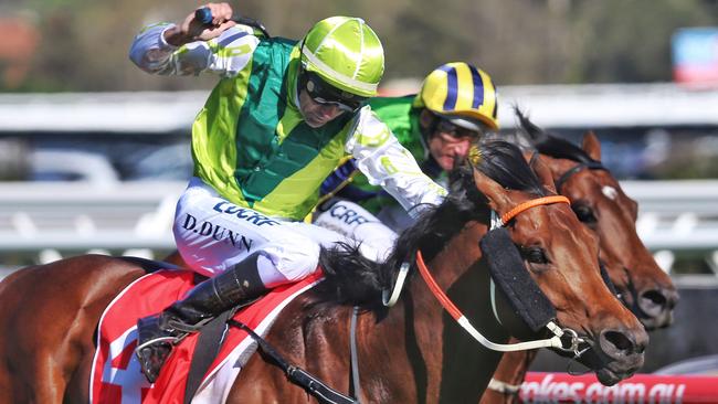 Divine Prophet could push on to the Cox Plate. Picture: Hamish Blair