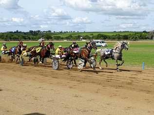 TROTS: Ghost Gum (grey) leads with a lap to go in a heat at Marburg. Ghost Gum could be a starter at the Warwick Showgrounds on Friday, March 22. Picture: Vic Pascoe