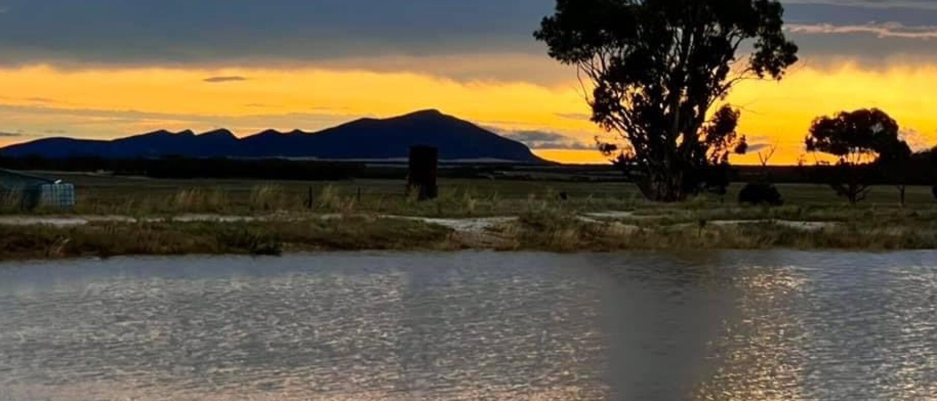 Flooded farmland near Kimba. Picture: Tara Kenny