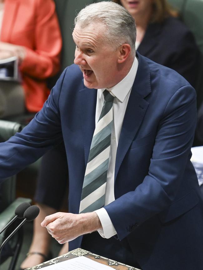 Leader of the House Tony Burke accused the opposition of ‘pouring kerosene” on the debate. Picture: NewsWire / Martin Ollman