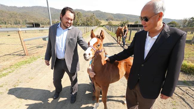 Hong Kong businessman Tony Fung (right) with his son Justin at his Aquis Farm in Canungra. Photo: Lyndon Mechielsen/The Australian