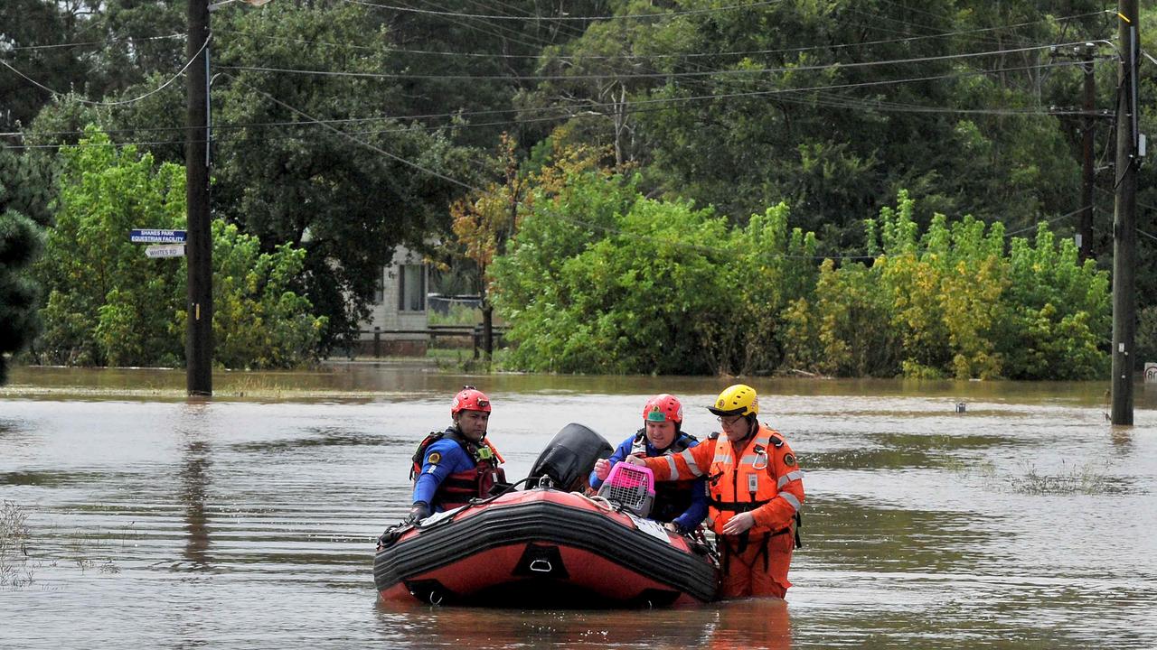 Volunteers from the State Emergency Service rescue a cat from a flooded farm house in western Sydney on March 3, 2022. (Photo by Muhammad FAROOQ / AFP)