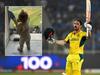 WAG’s World Cup photo melts hearts
