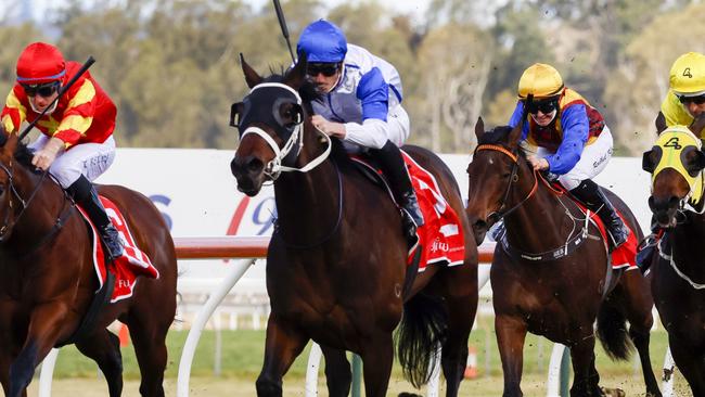 Coastwatch can improve on drier ground in the Queensland Guineas. Picture: Getty Images