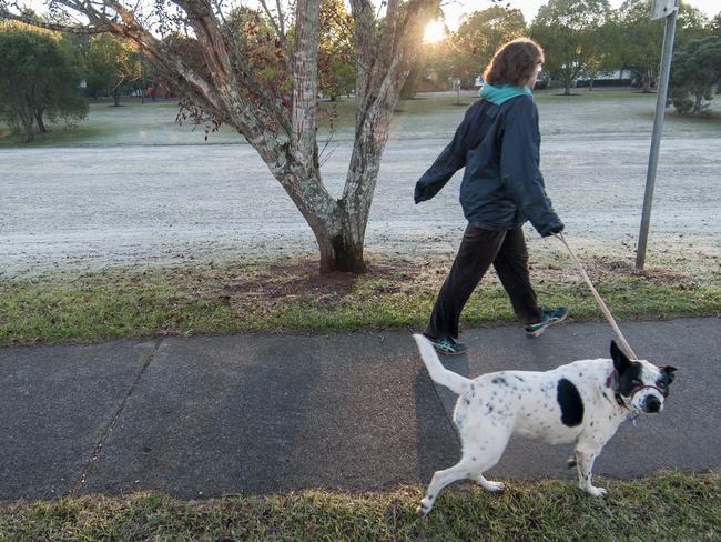 First cold frosty day of Autumn. Early morning frost in Toowoomba. People braving the chilly conditions to exercise along a path at East Creek, Centenary Heights. 30th May 2016. pic David Martinelli