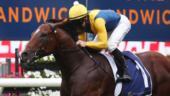 Golden Slipper favourite Storm Boy will start from barrier 2. Photo: Jeremy Ng/Getty Images.