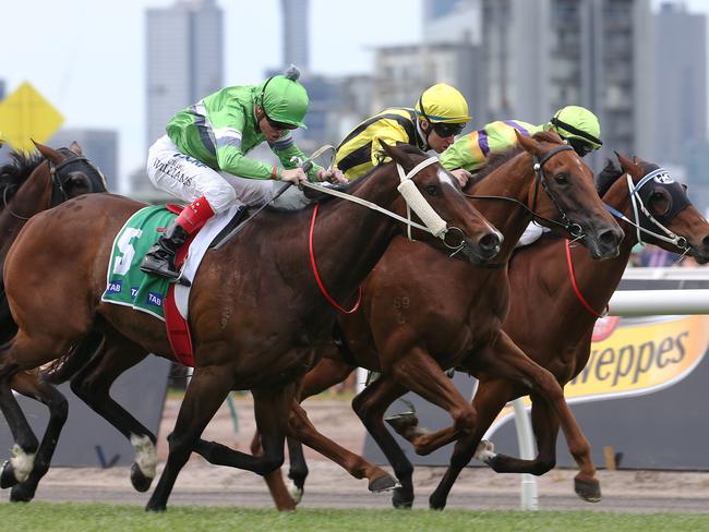Precious Gem, ridden by Craig Williams, makes his move on the outside to salute at Flemington.  Picture: Ian Currie