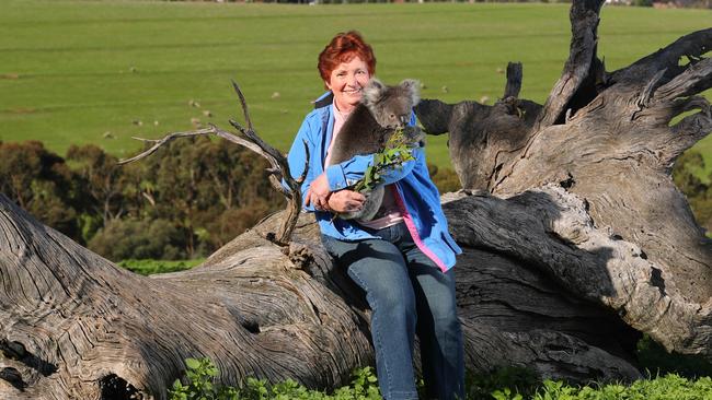 Rae Campbell with Honey at Glenthorne Farm. Picture: Tait Schmaal