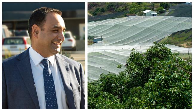 Coffs Harbour MP Gurmesh Singh has previously brushed off claims of a conflict of interest between his links to the lucrative blueberry industry and his strong stance on the new koala protection policy. Now people are asking “where are you Gurmesh” on the exploitation of workers in the industry as revealed in a recent report.