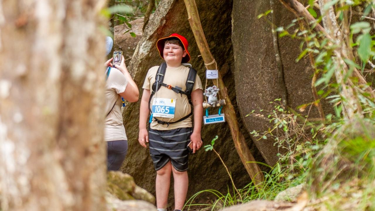 Great Island Trek: Harvey Guy on the koala quest