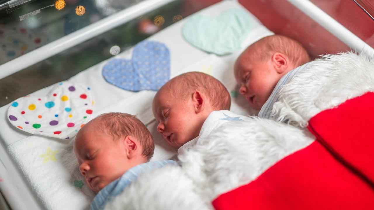 Louis, Winston and Maverick were born on November 10.