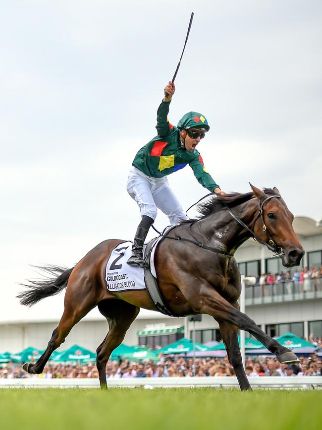 Jockey Ryan Maloney rides Alligator Blood to victory. Picture: AAP Image/Albert Perez