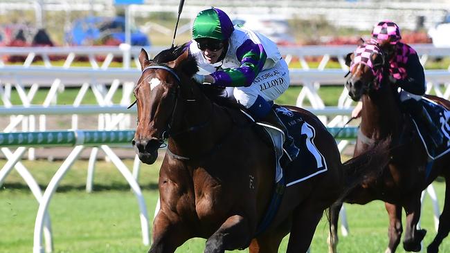 Jaden Lloyd rides to Alpine Edge to victory at Eagle Farm. Picture: Trackside Photography