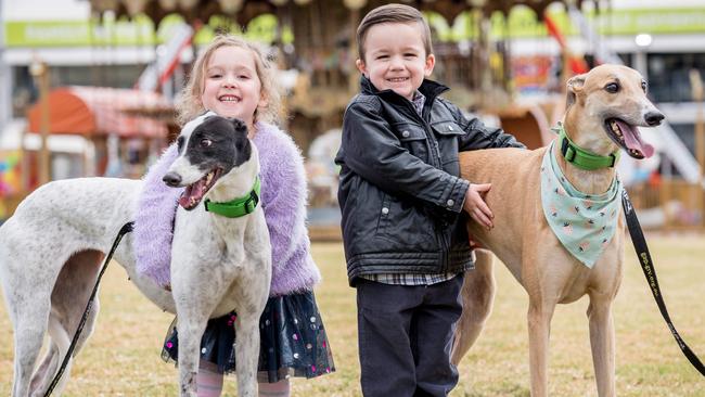 Greyhound Adoption Programme will be at Melbourne show for kids to pat and hopefully be adopted. Clara, 3 and Henry, 4 with greyhounds Nancy and Rocket. Picture: Jake Nowakowski