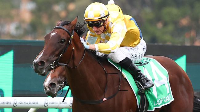 SYDNEY, AUSTRALIA - MARCH 23: Blake Shinn riding  Lady Of Camelot wins Race 8 Golden Slipper during the Golden Slipper Day - Sydney Racing at Rosehill Gardens on March 23, 2024 in Sydney, Australia. (Photo by Jeremy Ng/Getty Images)