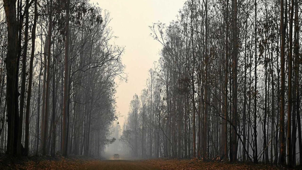 The Black Summer bushfires caused devastation across much of the country. Picture: supplied