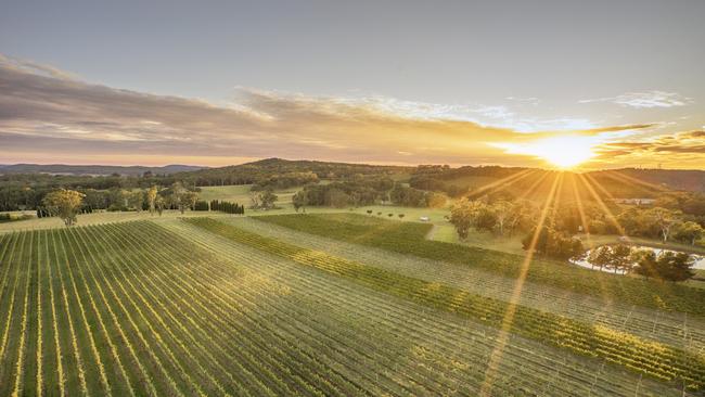 Centennial Vineyards in the Southern Highlands. Picture: Destination NSW