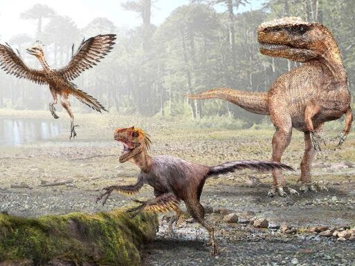 Before a growth spurt in its late teens the T. rex, right, was lightly built and probably more agile than its elders MAURICIO ALVAREZ/SCIENCE ADVANCE/PA