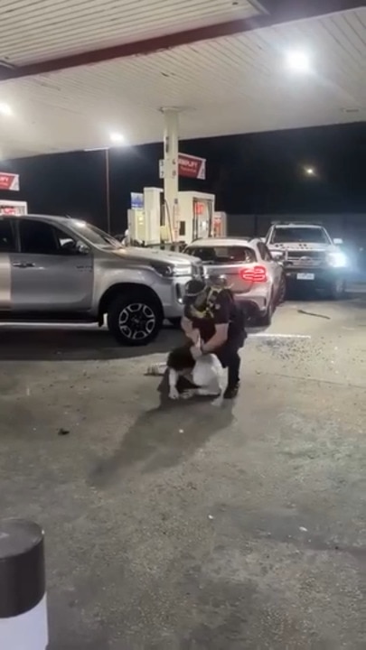 Bystanders film dramatic car thief arrest at Rye servo