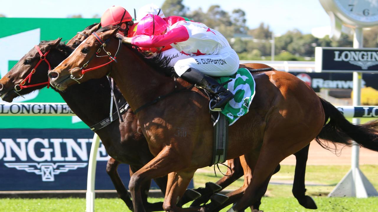 Zaru (outside) and Sam Clipperton and shooting for another TAB Highway win at Rosehill on Saturday. Picture: Grant Guy