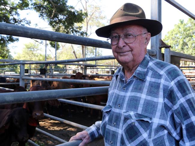 Mick Borzi from Mareeba sold five droughtmaster wieners at this week’s Mareeba Saleyards. PICTURE: Andrea Falvo