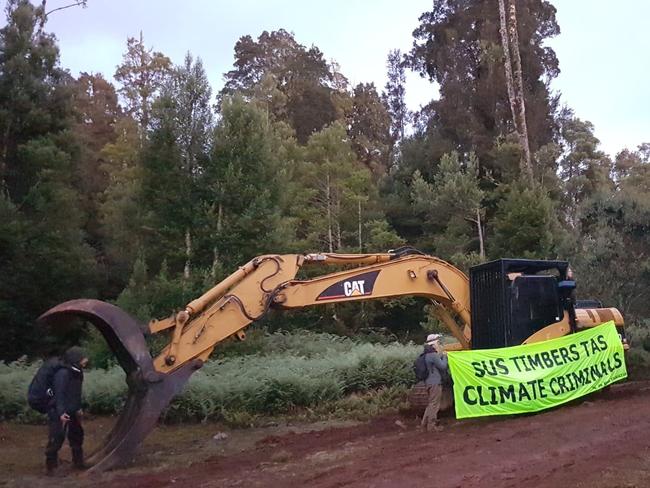 Six Tarkine Defenders have been charged today, after defending rainforest trees on public land from logging. Picture: Supplied