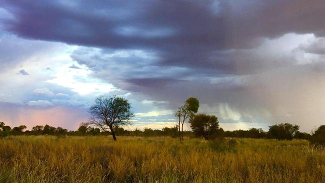 Rain in Papunya. PIC: Alinta Rose