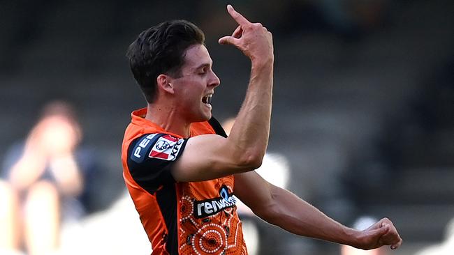 MELBOURNE, AUSTRALIA - JANUARY 22: Jhye Richardson of the Scorchers celebrates getting the wicket of Matthew Wade of the Hurricanes during the Big Bash League match between the Hobart Hurricanes and the Perth Scorchers at Marvel Stadium, on January 22, 2021, in Melbourne, Australia. (Photo by Quinn Rooney/Getty Images)