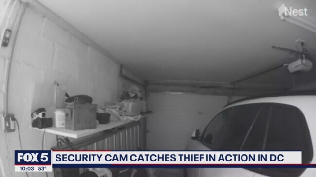 Security Cam Catches Thief In Action In Dc Au — Australia’s
