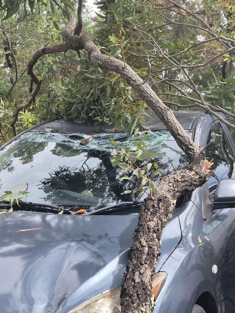 Cars smashed by fallen trees at Victoria Point reserve. Picture: Facebook