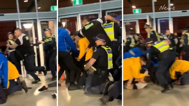 Footy fans fight at the MCG