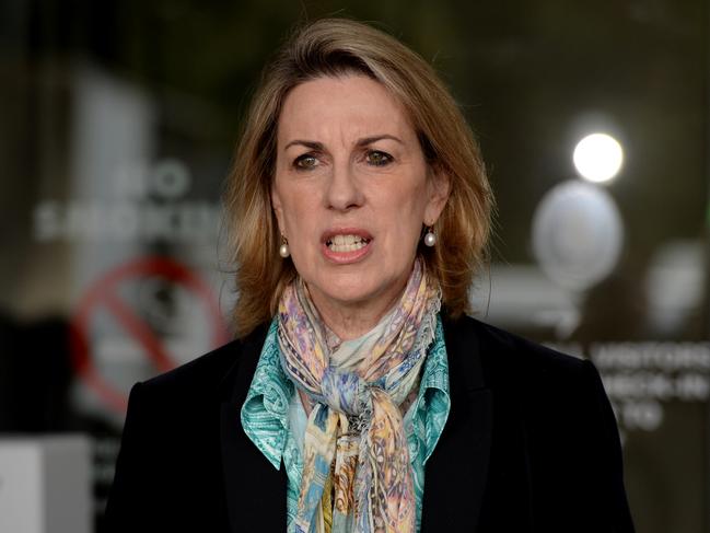 Opposition health spokeswoman Georgie Crozier said ongoing government mismanagement was threatening Victorian health services. Picture: Andrew Henshaw