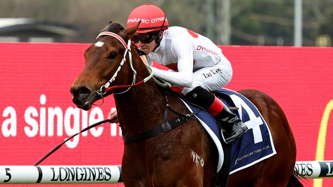 SYDNEY, AUSTRALIA - AUGUST 05: Zac Lloyd riding Hard To Say wins Race 2 Midway during "Missile Stakes Day" - Sydney Racing at Rosehill Gardens on August 05, 2023 in Sydney, Australia. (Photo by Jeremy Ng/Getty Images)