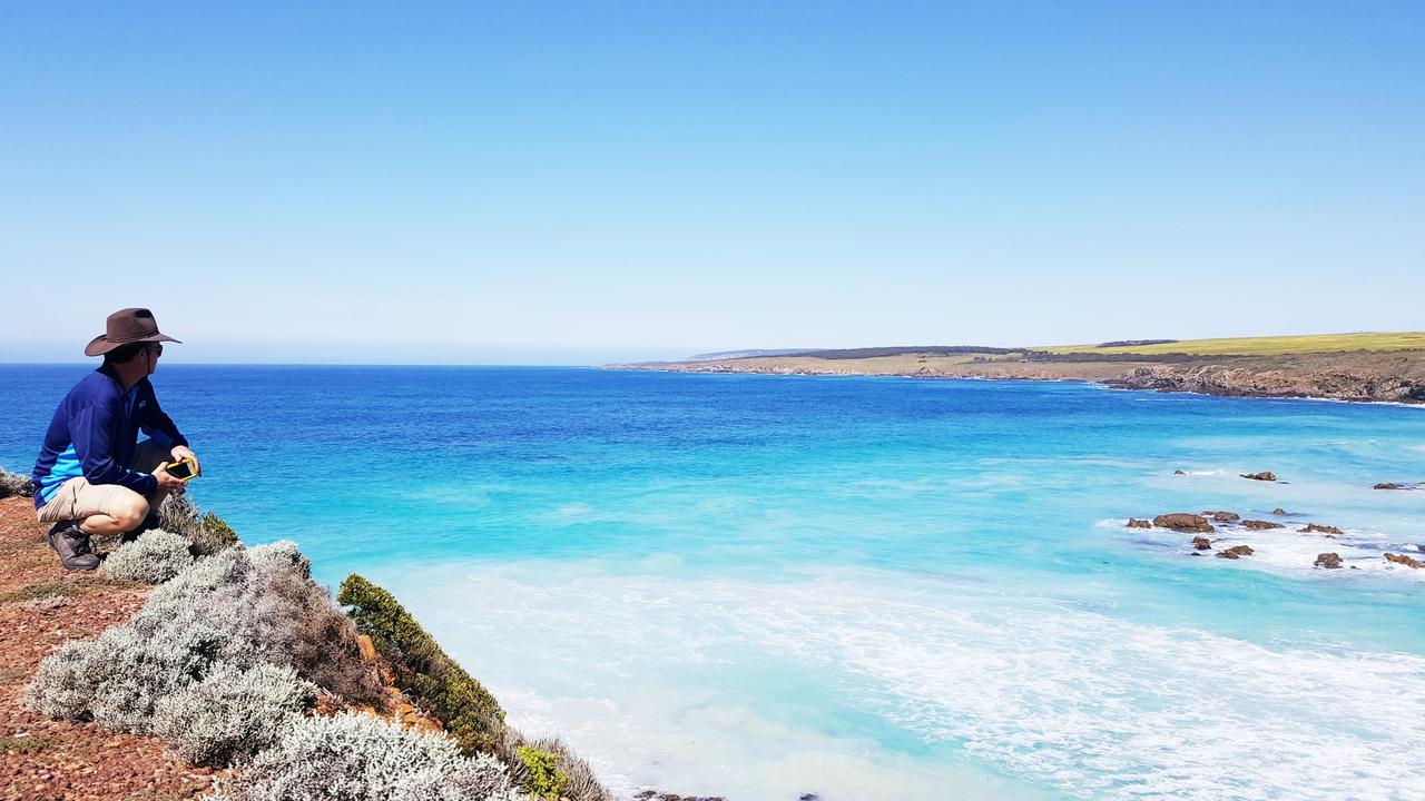 Here’s all the best things to see and do in Port Lincoln, South Australia.