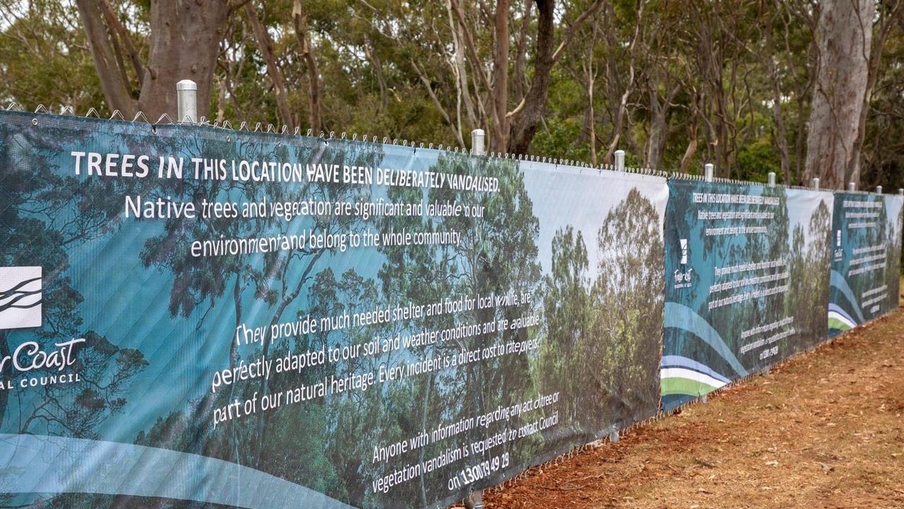 The temporary fencing at Mant Street, Point Vernon where trees along the foreshore were poisoned in 2019.