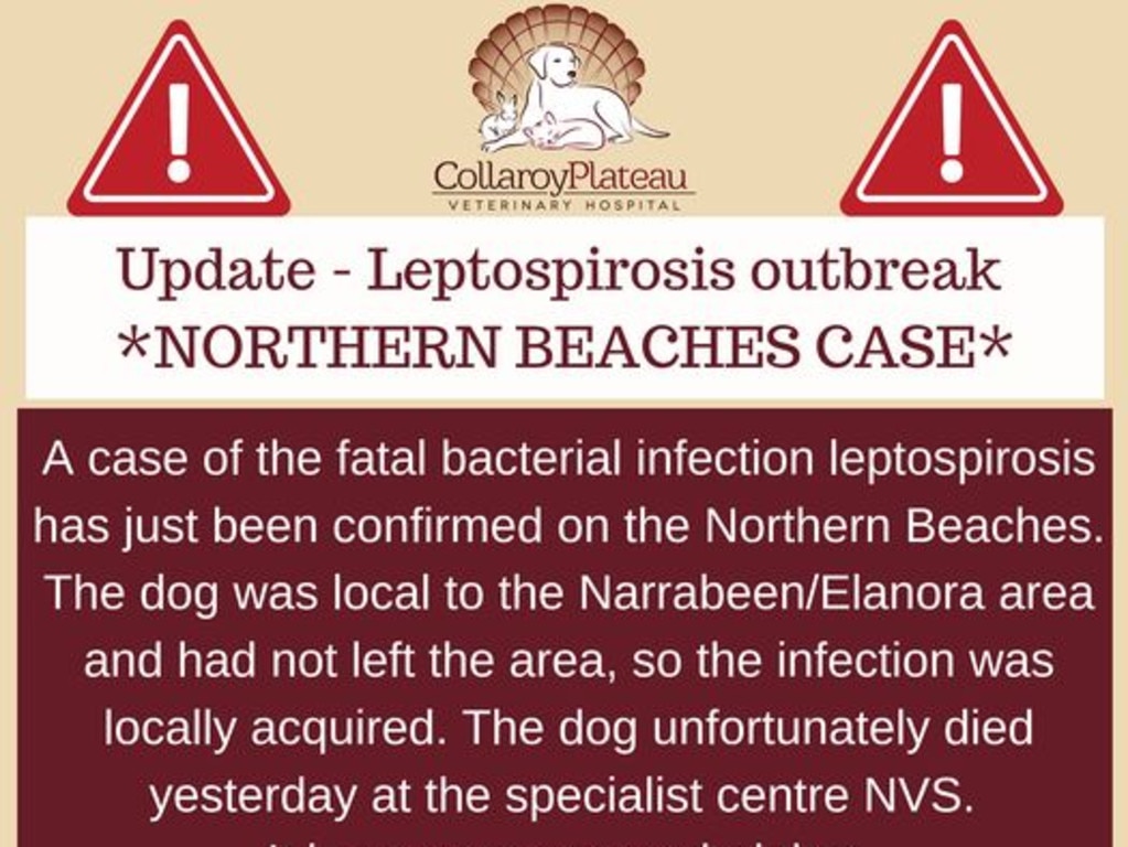 is leptospirosis fatal in dogs