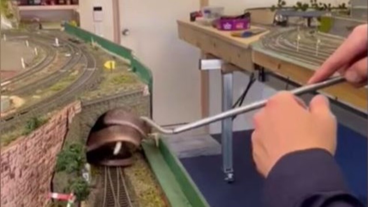 Snake caught hiding in tunnel of a toy model railway station