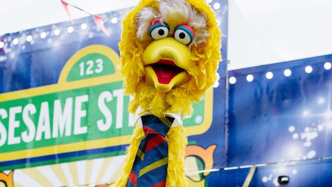 Big Bird and other Sesame Street characters have received the Covid vaccine. Picture: The Advertiser/ Morgan Sette