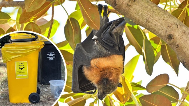 Bat bins at WOMAD artwork