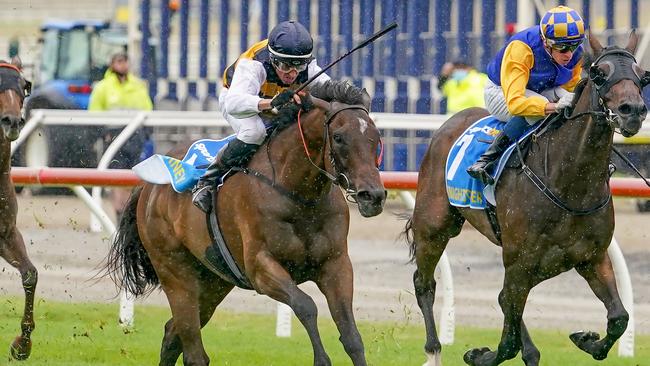 Attorney, ridden by Nash Rawiller, wins the Pakenham Cup. Picture: Scott Barbour