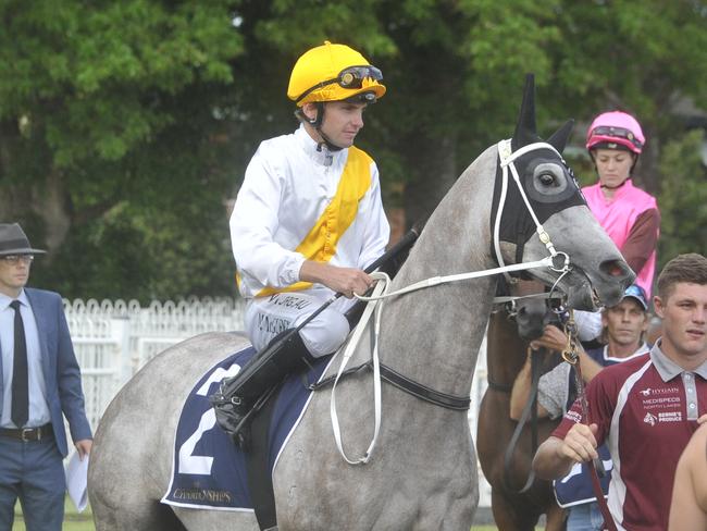 Matthew McGuren rode Matthew Dunn's Gracie Bell to second at the Country Championships qualifying heat moved from Coffs Harbour to Grafton's Clarence River Jockey Club on Thursday, February 20.