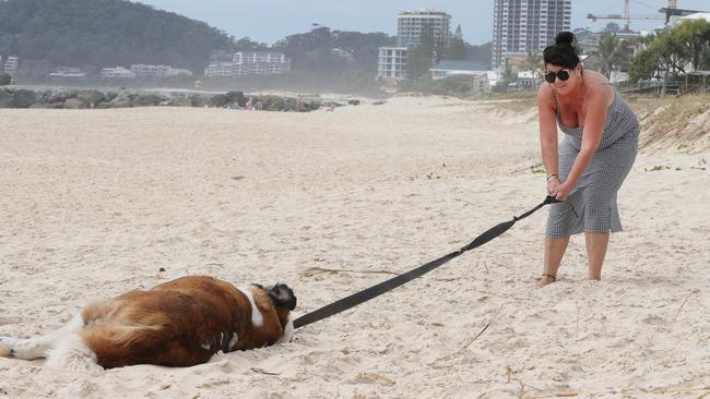 Yeah nah thanks mum. I’ll stay right here. Picture: Glenn Hampson