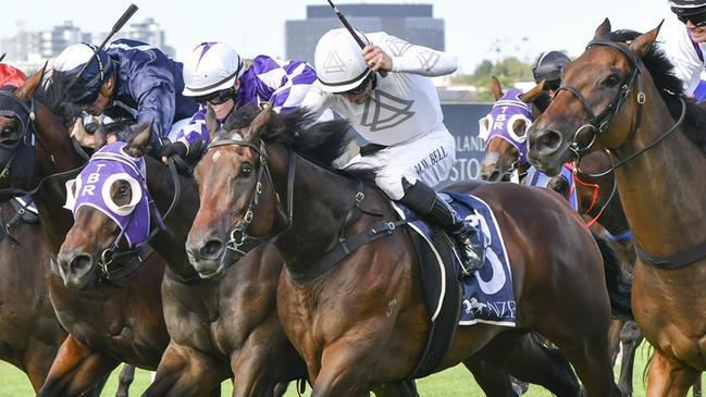 Mad Deel can make the most of a “perfect barrier” at Kensington on Wednesday. Picture: Bradley Photos