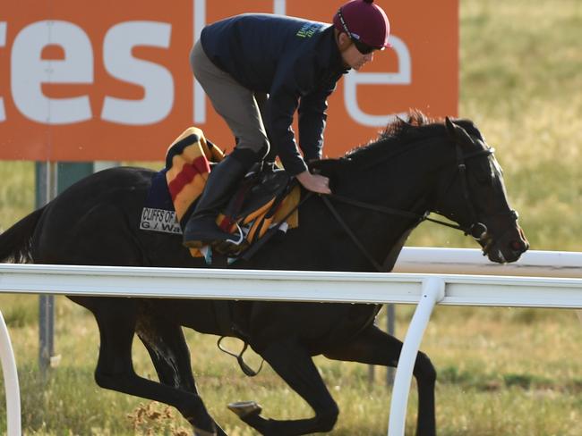 The Cliffsofmoher during a training gallop at Werribee. Picture: AAP