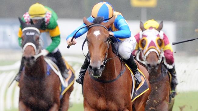 Imposing Lass is being aimed at the Queensland Oaks. Picture: Simon Bullard