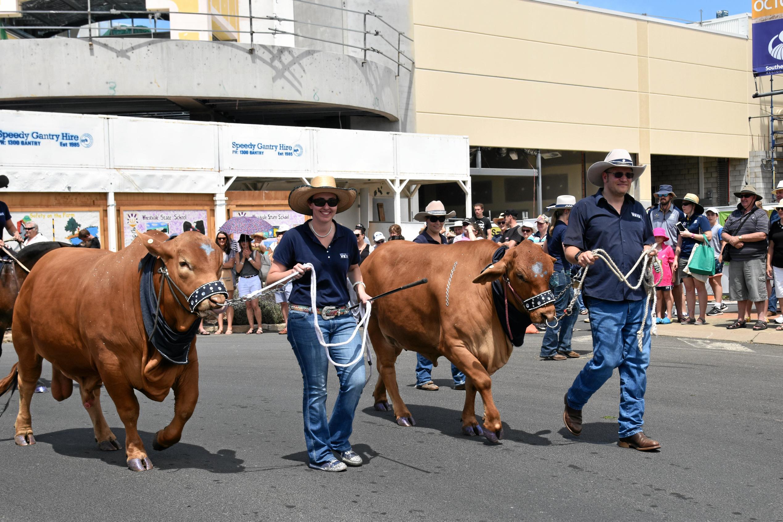 Warwick Rodeo Street Parade The Courier Mail