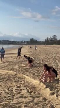 Volunteers clean up the polystyrene ball spill on the Sunshine Coast